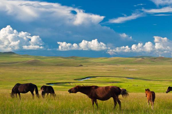 李义刚摄影作品