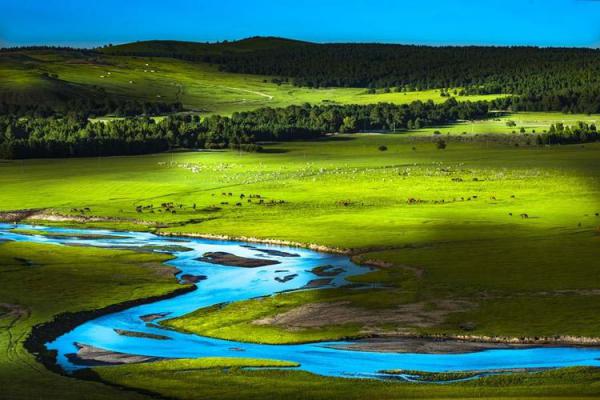 武飞虎摄影作品