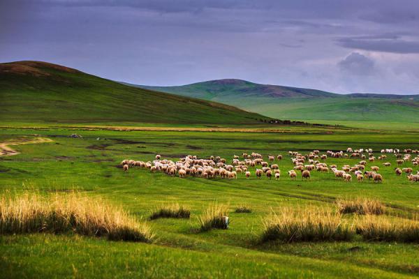 云雾缭绕—厉明
