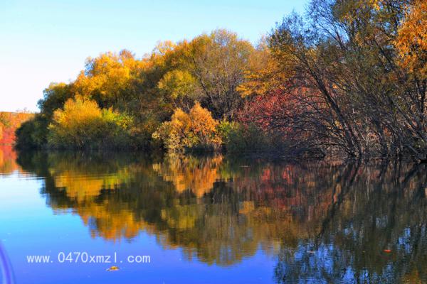 秋季呼伦贝尔风光