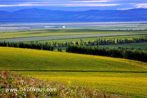 一场大雨之后——剑锋