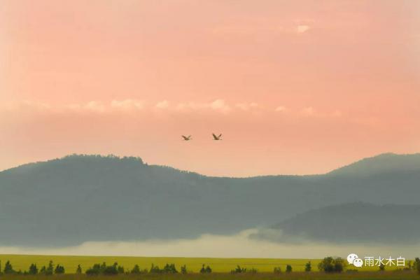 康达岭风光—雨水木白