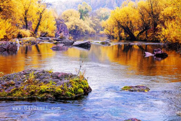 秋天来呼伦贝尔会是这样的