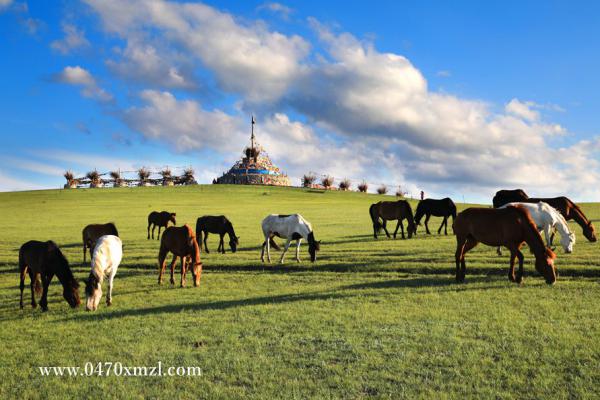 研学旅行经典路线