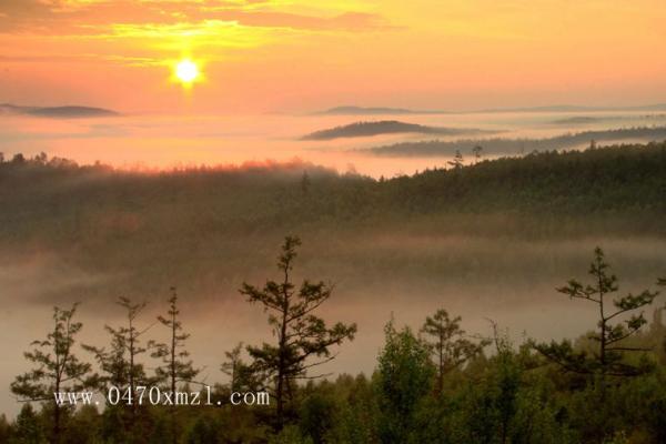 宁静枫林摄影作品