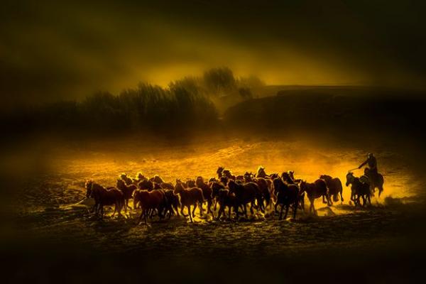 凌忠义摄影作品