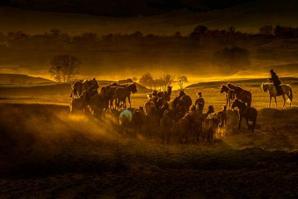 呼伦贝尔的秋天