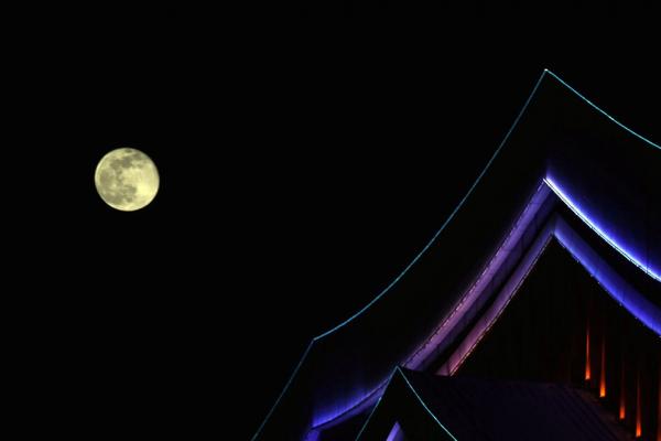 月亮你不要再柔情似水