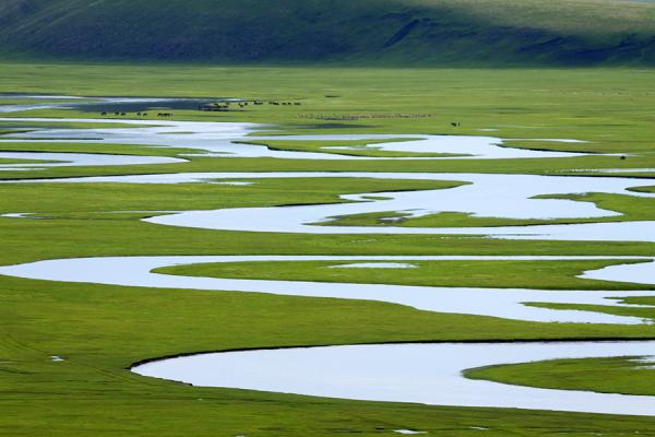 六月来呼伦贝尔吧