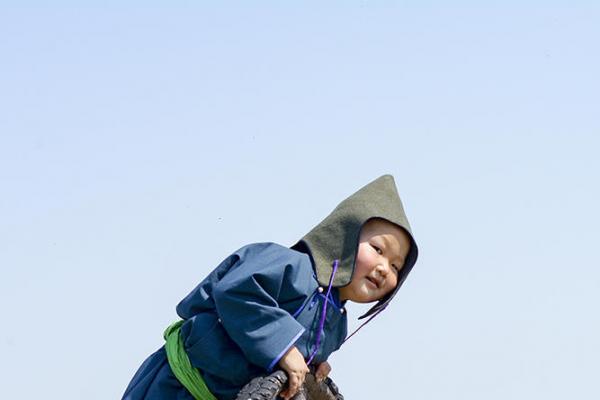 美丽的草原我的家