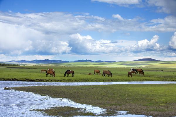 莫尔格勒河夏营地
