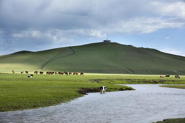 呼伦贝尔草原你来过吗
