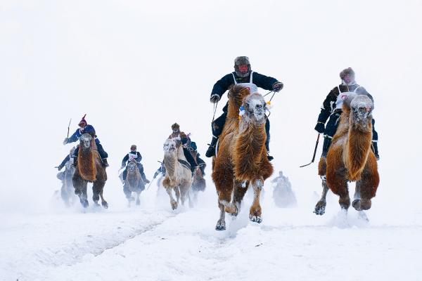 呼伦贝尔“冬季冰雪那达慕”摄影体验团