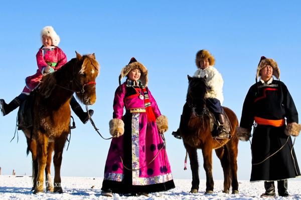 草原上的骆驼之家