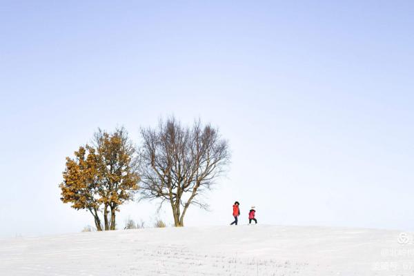 曹同国摄影作品