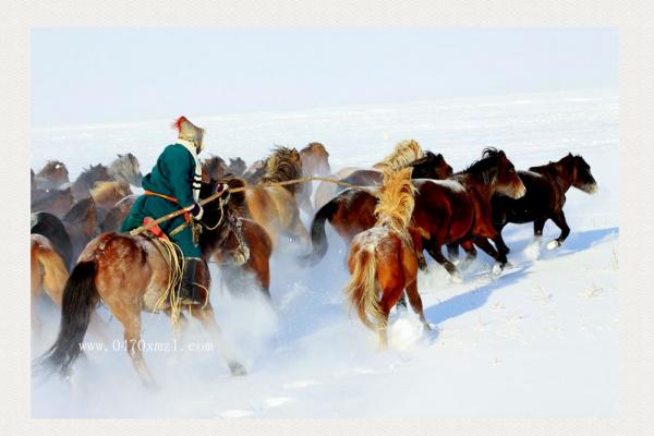 雪原套马