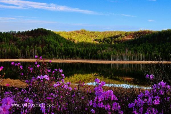 五月花开红似火