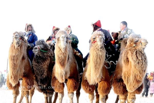 2018冬季冰雪那达慕