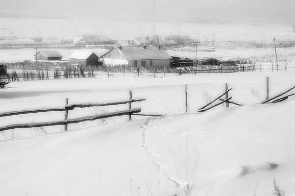 冬雪