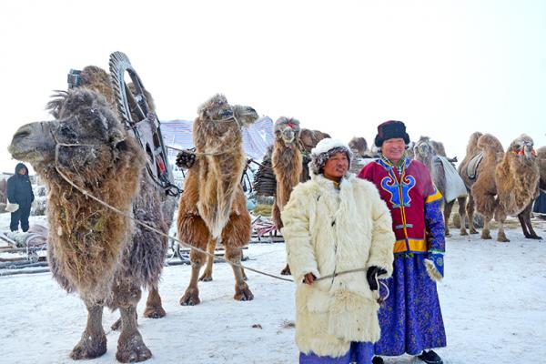 草原深处有人家