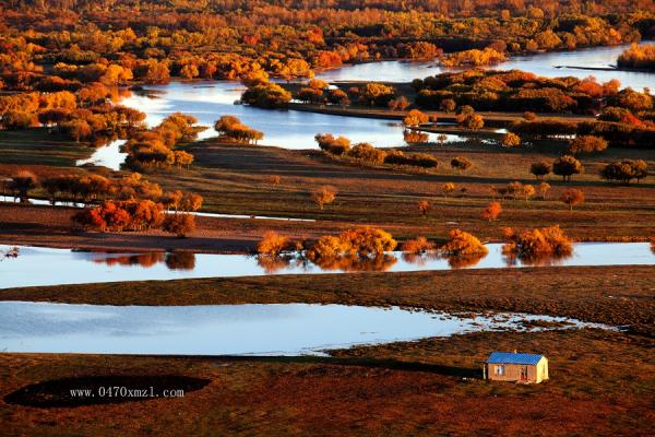 额尔古纳湿地风光