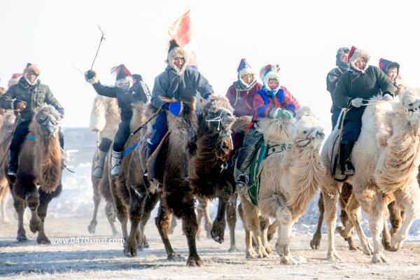 呼伦贝尔冰雪那达慕（一）