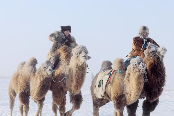 那达慕上的牧民