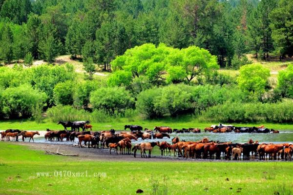 鄂温克草原风光