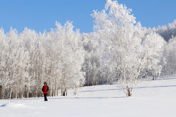 冬天的呼伦贝尔