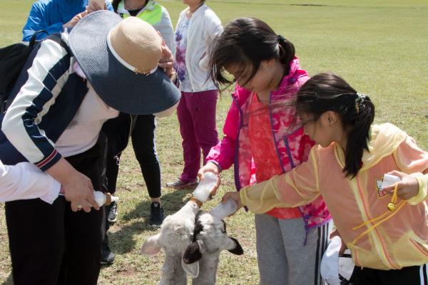走进呼伦贝尔团队花絮