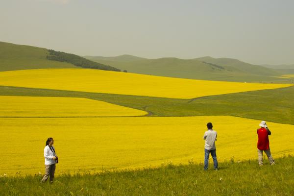7月油菜花精品越野摄影定制团