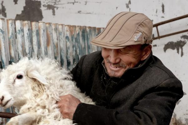 又是一个丰收年