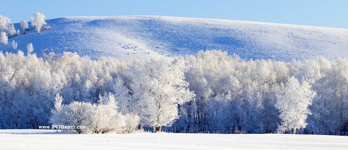 呼伦贝尔市青年摄影协会（内蒙古剑锋影视文化传媒有限公司）