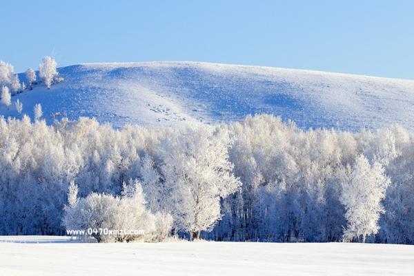路上遇见的雾凇