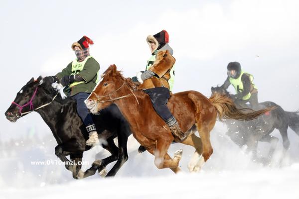 那达慕比赛开始