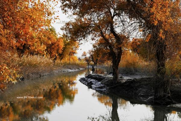 南疆之旅—王凤莲摄影
