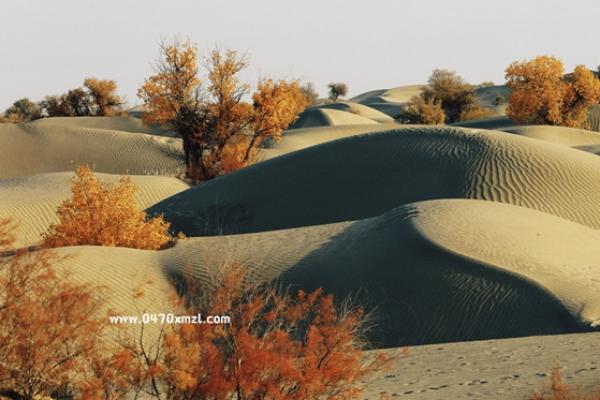 南疆之旅—杨莉摄影