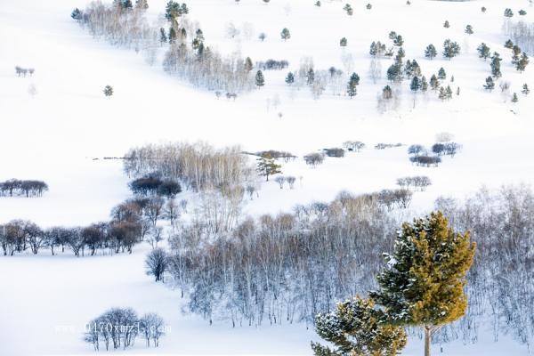 鄂温克冬季风光