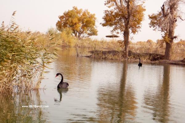 南疆之旅—阿伊莎摄影