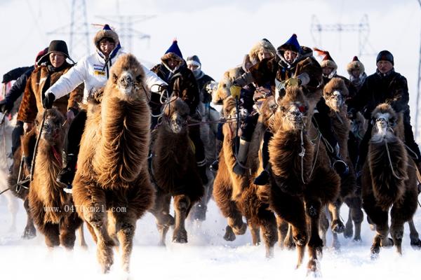 2025冰雪那达慕掠影
