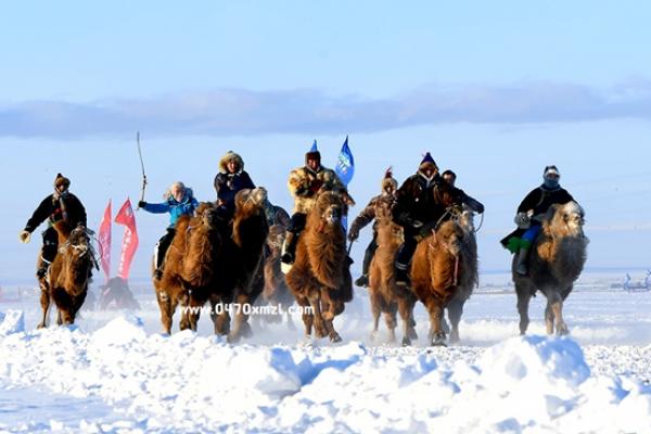 冰雪豪情，那达慕精彩瞬间回望