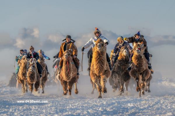 那达慕精彩瞬间