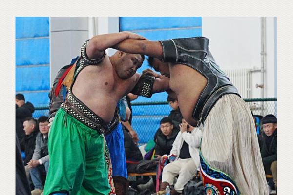 “陶力亚特”博克精英巡回赛—鄂温克旗站