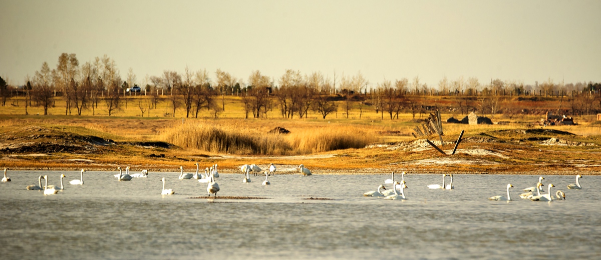 呼伦贝尔市青年摄影协会（内蒙古剑锋影视文化传媒有限公司）