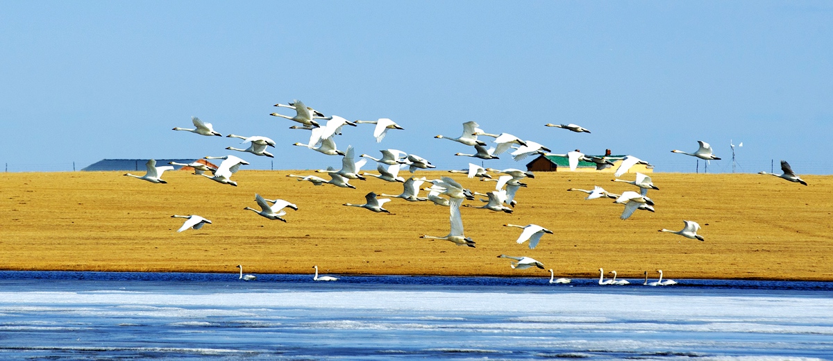 呼伦贝尔市青年摄影协会（内蒙古剑锋影视文化传媒有限公司）