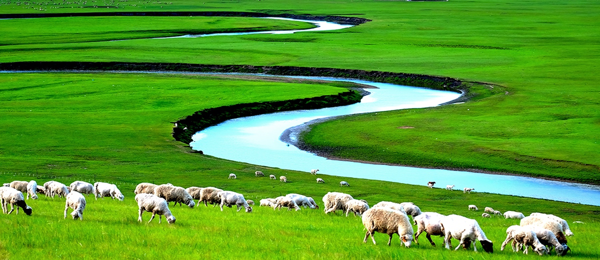 呼伦贝尔市青年摄影协会（内蒙古剑锋影视文化传媒有限公司）