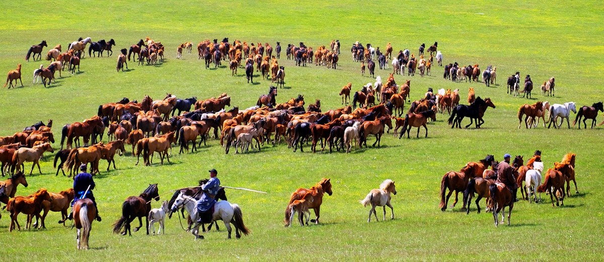 呼伦贝尔市青年摄影协会（内蒙古剑锋影视文化传媒有限公司）