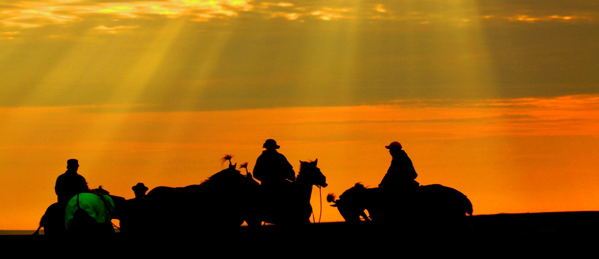 呼伦贝尔市青年摄影协会（内蒙古剑锋影视文化传媒有限公司）