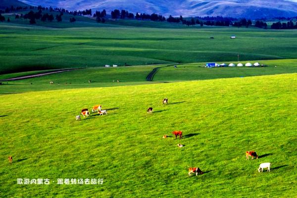 古日班赛罕草原