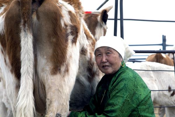 罕大盖草原牧民生活